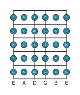 Guitar scale for C Chromatic in position 6