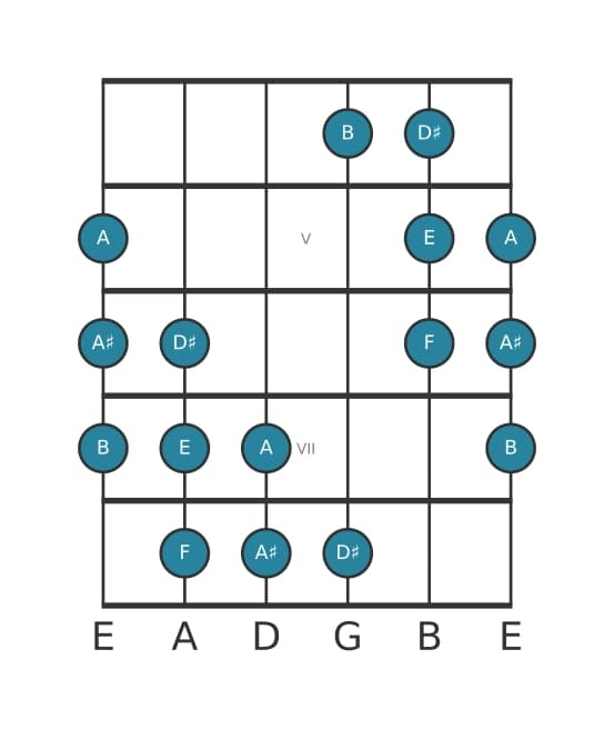Guitar scale for E Messiaen's mode 5 in position 3