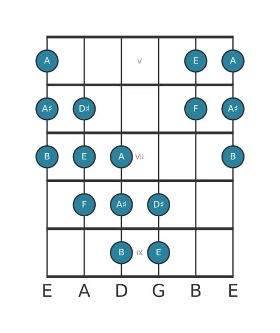 Guitar scale for E Messiaen's mode 5 in position 4