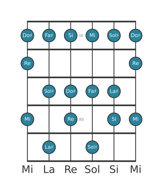 Scala per chitarra per Sol Diesis Locria ♯2 nella posizione 8